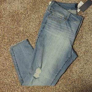 Torrid Premium Jeggings 22 R Distress